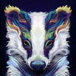 Meet your Posher, Karli